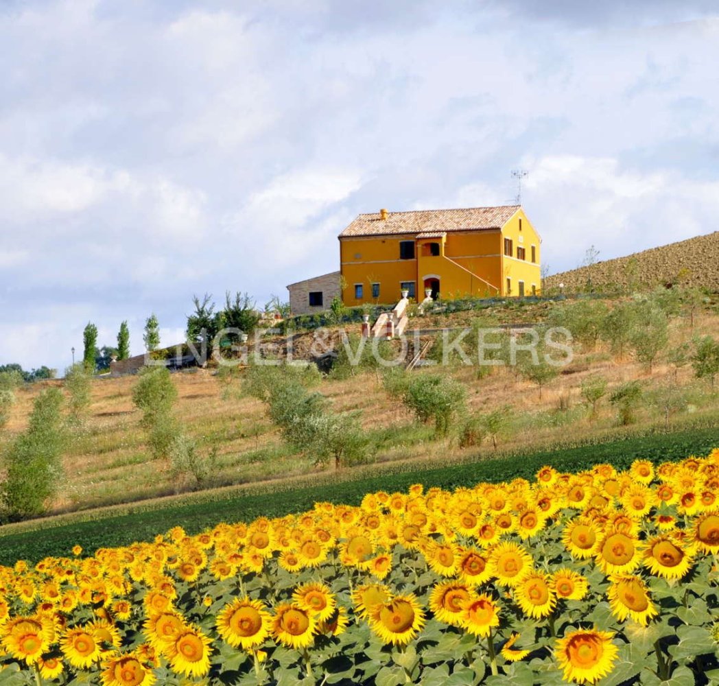 9 bedrooms Villa in Recanati, Italy No. 64748