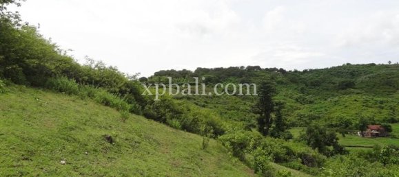 Terrain à West Nusa Tenggara, Indonesia 15000m² No. 4155 4