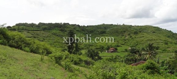 Terrain à West Nusa Tenggara, Indonesia 15000m² No. 4155 5