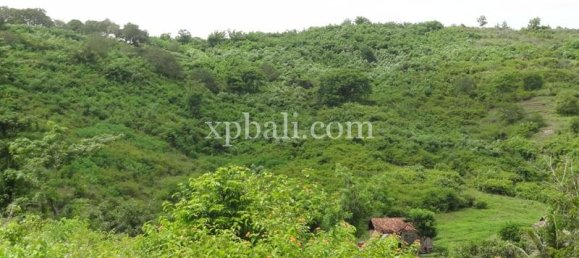 Terrain à West Nusa Tenggara, Indonesia 15000m² No. 4155 8
