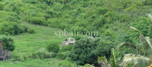 Terrain à West Nusa Tenggara, Indonesia 15000m² No. 4155 6