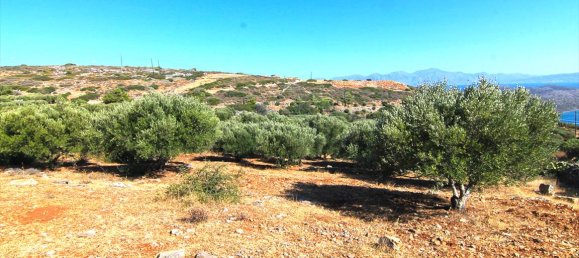 4150m² Hotel in Agios Nikolaos, Greece No. 7020 3