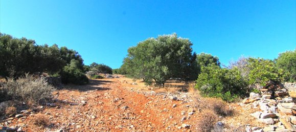 4150m² Hotel in Agios Nikolaos, Greece No. 7020 5