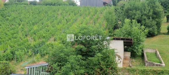 1 Schlafzimmer Haus in Arbois, France, Nr. 281646 2