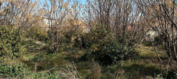 Terrain à Murcia, Spain No. 164480 6