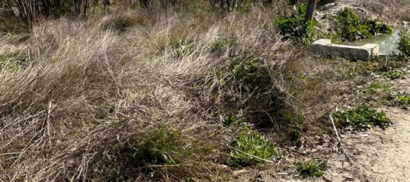 Terrain à Murcia, Spain No. 164480 13