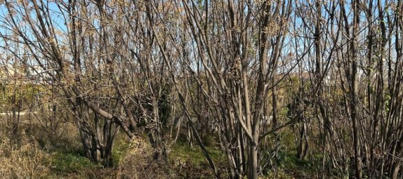 Terrain à Murcia, Spain No. 164480 9