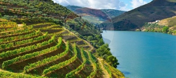 7 bedrooms House in Macedo de Cavaleiros, Portugal No. 180776 16