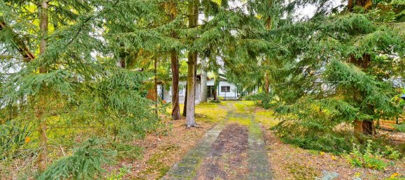 1 bedroom Bungalow in Oberhavel, Germany No. 60539 34