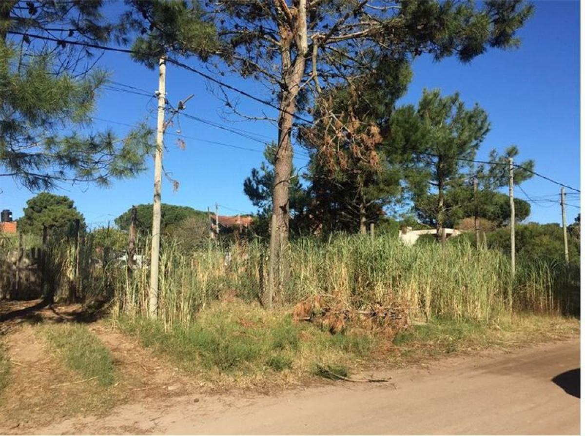 Grundstück in Mar del Plata, Argentina, Nr. 116821