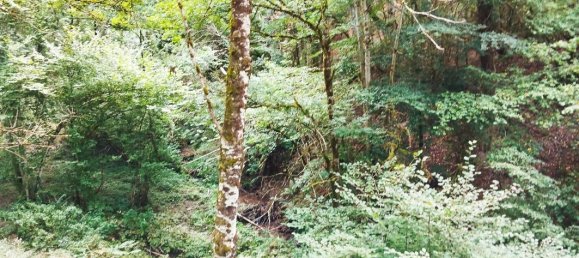 Grundstück in Viane, France, Nr. 337929 2