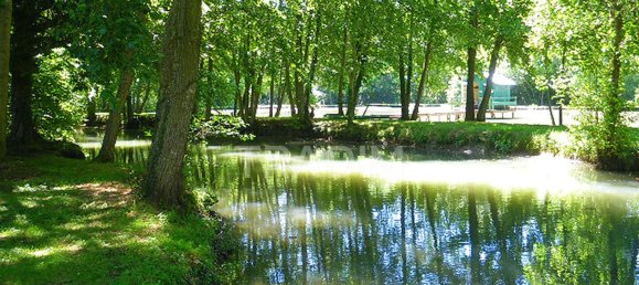 10 غرف نوم قلاع في Montargis, France رقم 349548 2