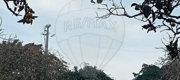 5 bedrooms House in Vila Nova de Gaia, Portugal No. 29737 12