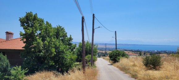 Gewerbliche Immobilien in Panorama, Greece 400m², Nr. 52373 10