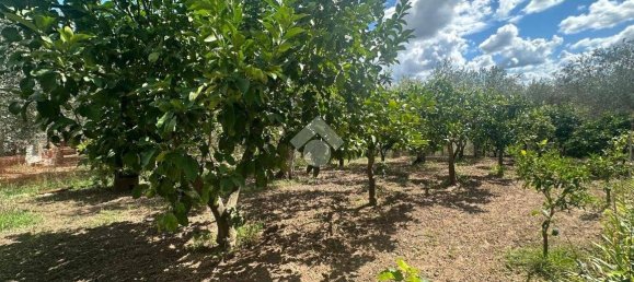 2 bedrooms House in Sassari, Italy No. 292467 22