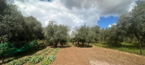 2 bedrooms House in Sassari, Italy No. 292467 23