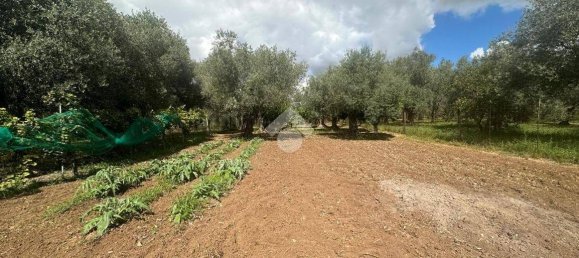 2 bedrooms House in Sassari, Italy No. 292467 21