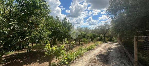 2 bedrooms House in Sassari, Italy No. 292467 3