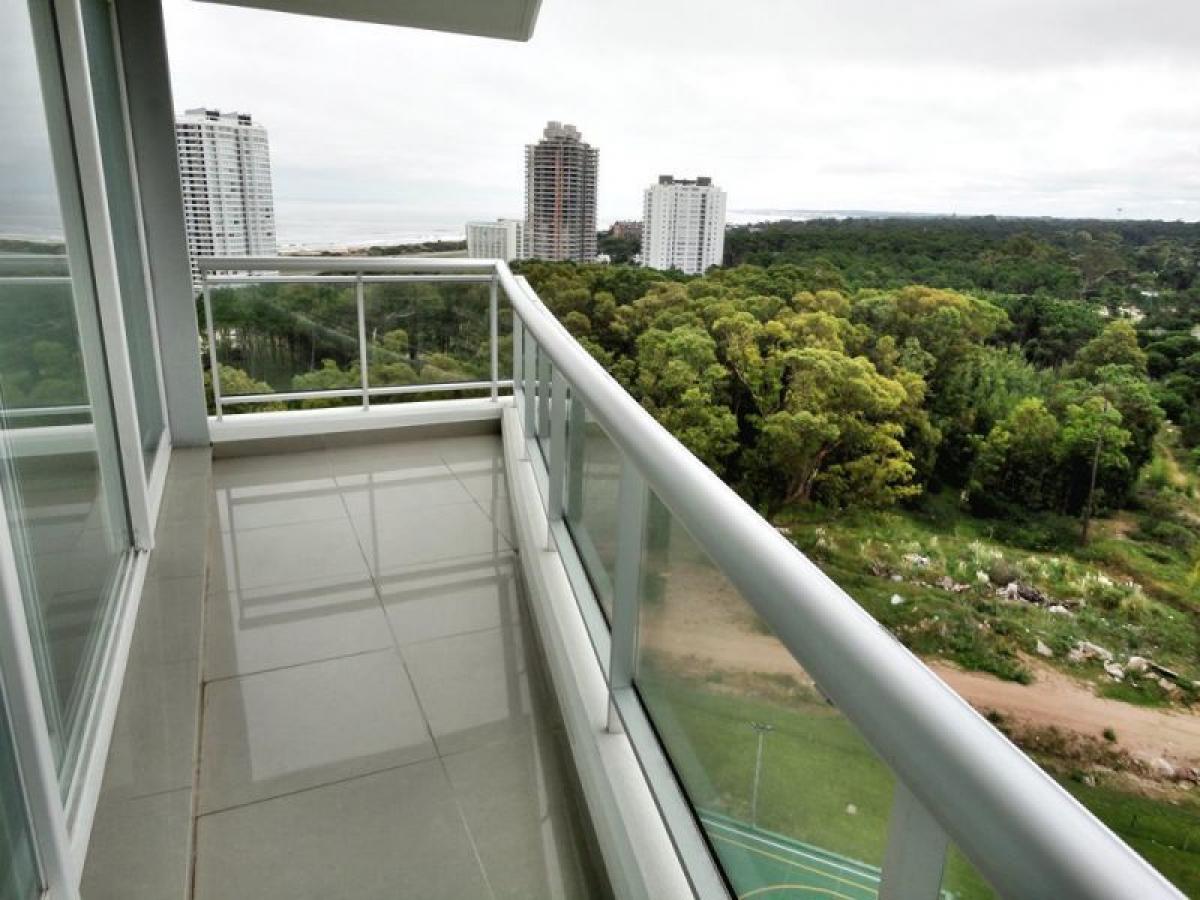 Estúdio em Maldonado, Uruguay N.º 8156