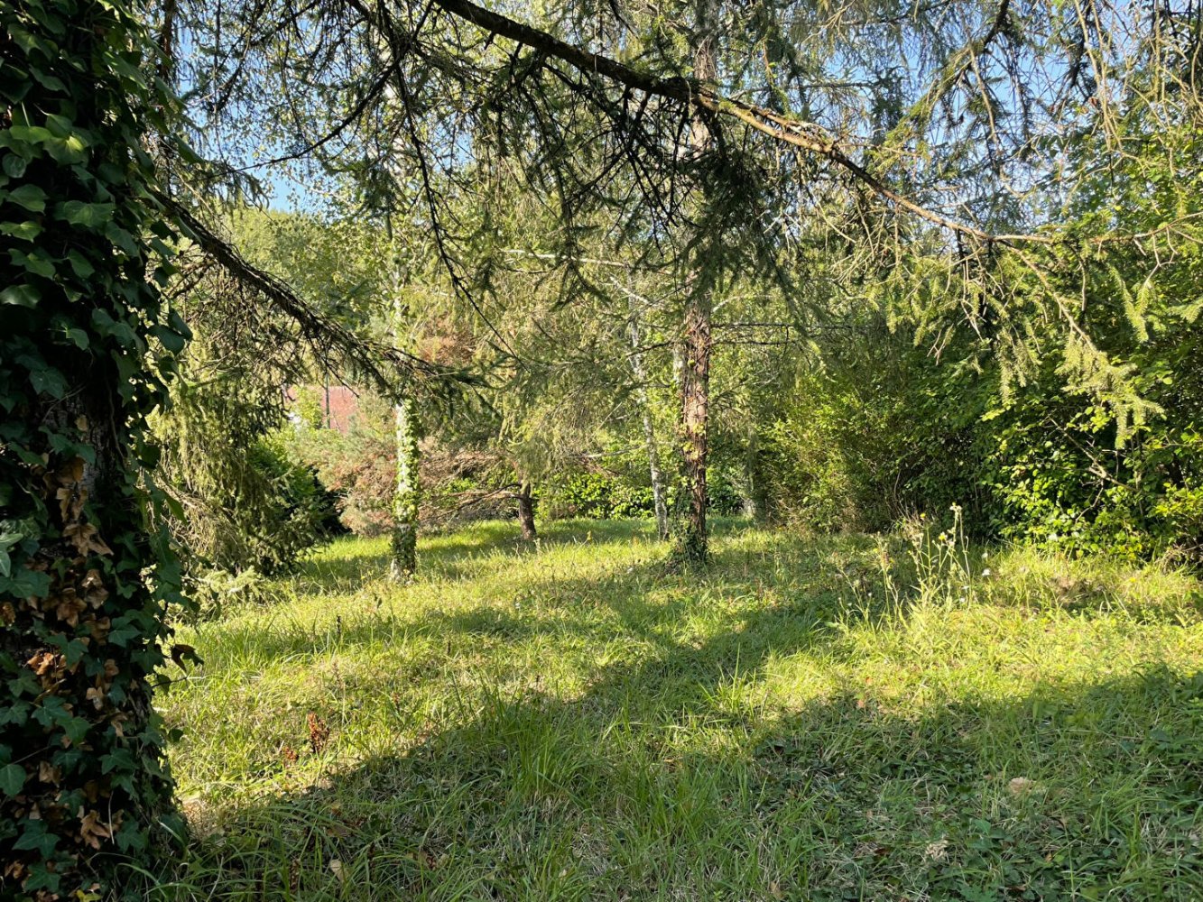  Land in Saint-Ouen-les-Vignes, France No. 249911