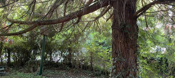  Land in Saint-Ouen-les-Vignes, France No. 249911 4