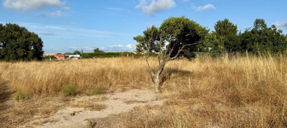 Terreno em Alcochete, Portugal N.º 197385 13