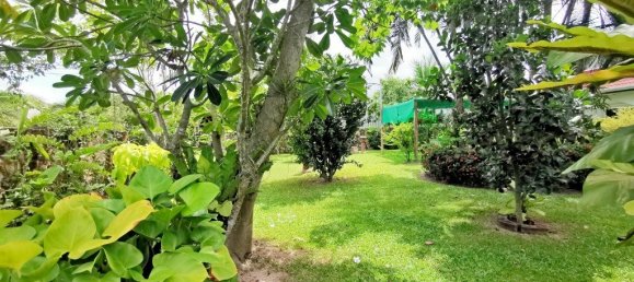 4 bedrooms Cafe / restaurant in Pattaya, Thailand No. 169 30