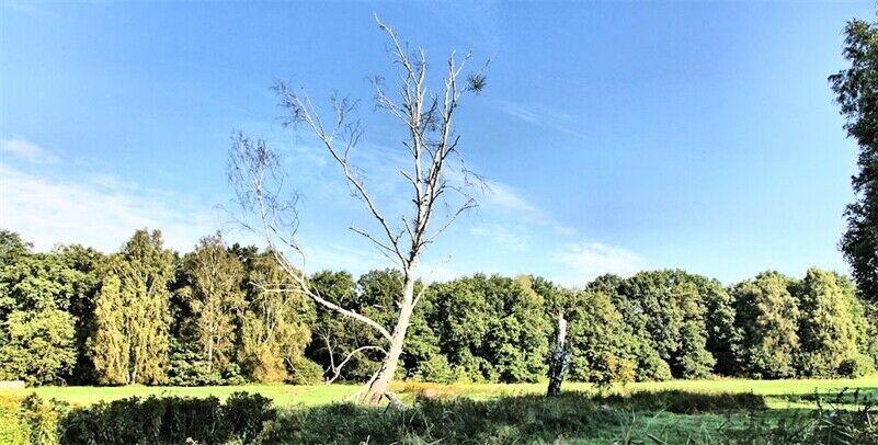 3 bedrooms Townhouse in Brandenburg, Germany No. 27252