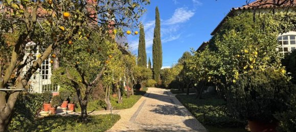 Земельный участок в Кантаньеди, Португалия № 104463 45