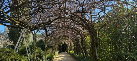 Земельный участок в Кантаньеди, Португалия № 104463 46