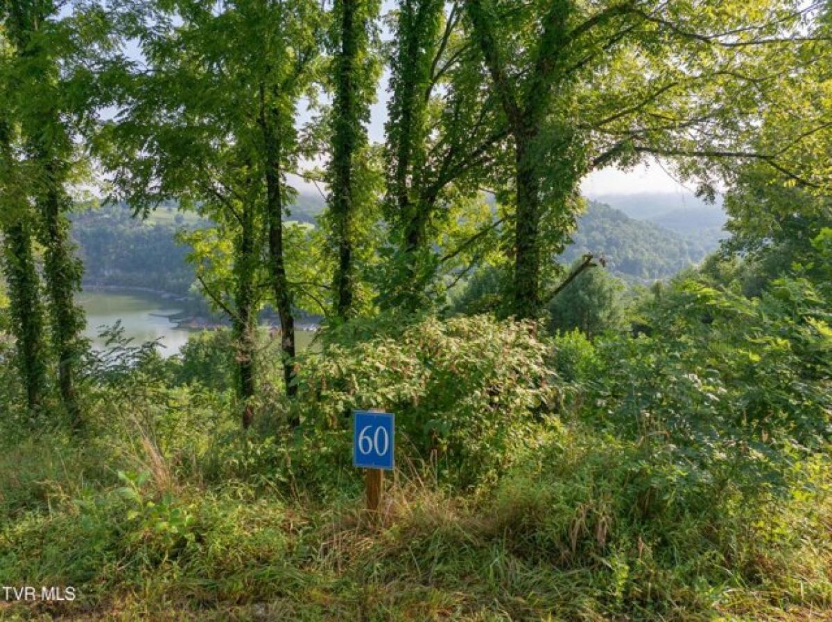  Land in Butler, USA No. 482758