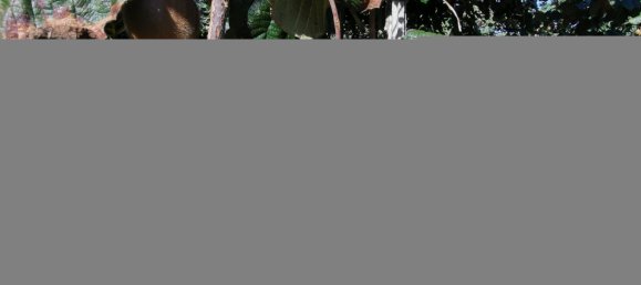 5 bedrooms House in Agueda, Portugal No. 28418 2