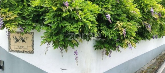 5 bedrooms House in Agueda, Portugal No. 28418 36