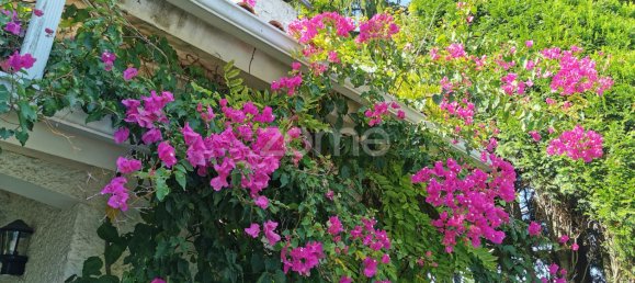 5 bedrooms House in Agueda, Portugal No. 28418 6