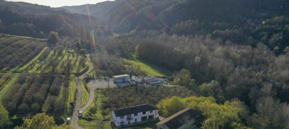 8 rooms House in Bosia, Italy No. 143315 6