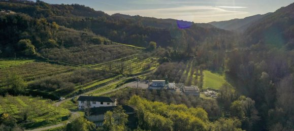 8 rooms House in Bosia, Italy No. 143315 5