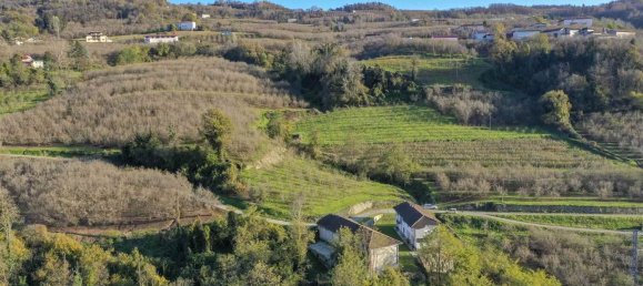 8 rooms House in Bosia, Italy No. 143315 4