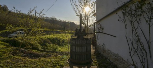 8 rooms House in Bosia, Italy No. 143315 16