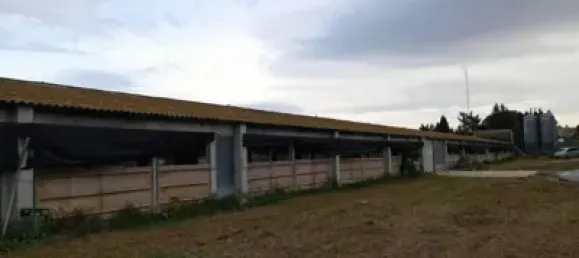 1115m² Warehouse in Girona, Spain No. 144306 12