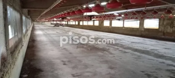 1115m² Warehouse in Girona, Spain No. 144306 20