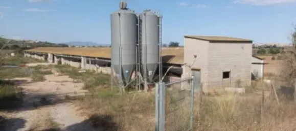 1115m² Warehouse in Girona, Spain No. 144306 2