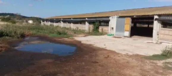 1115m² Warehouse in Girona, Spain No. 144306 6