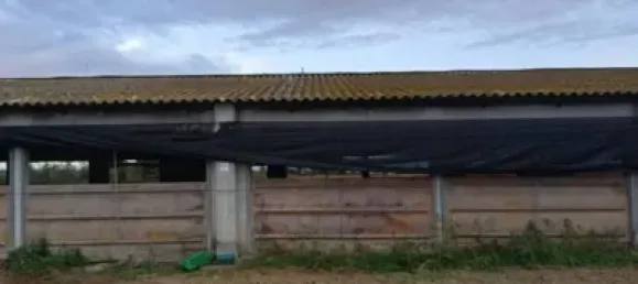 1115m² Warehouse in Girona, Spain No. 144306 11