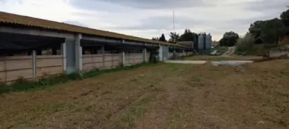 1115m² Warehouse in Girona, Spain No. 144306 5