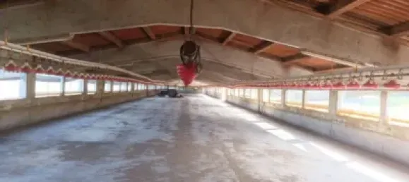 1115m² Warehouse in Girona, Spain No. 144306 22