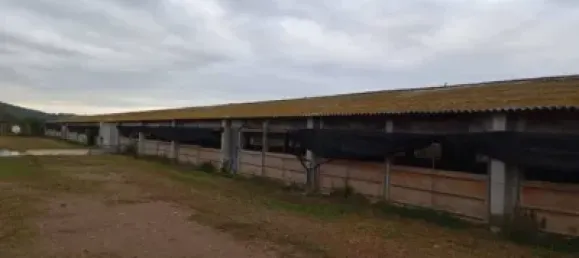 1115m² Warehouse in Girona, Spain No. 144306 18