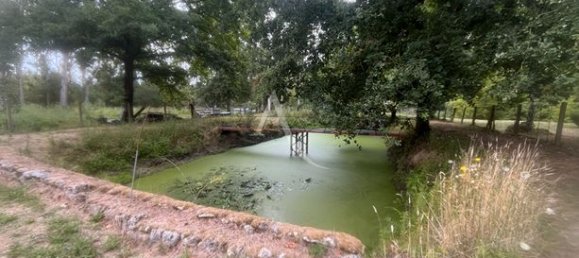 Terrain à Loir-et-Cher, France 2175m² No. 300801 6