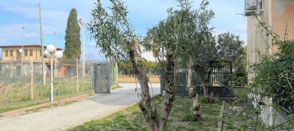 2 rooms Warehouse in Simeri Crichi, Italy No. 217207 11