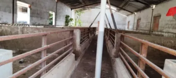 3 bedrooms House in Lorca, Spain No. 152556 15