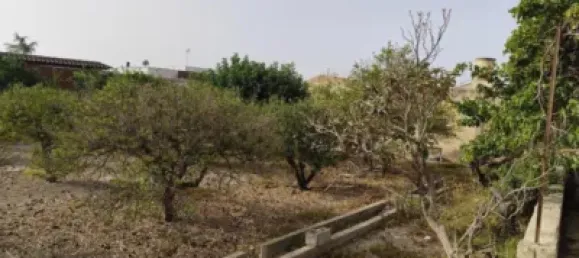 3 bedrooms House in Lorca, Spain No. 152556 93